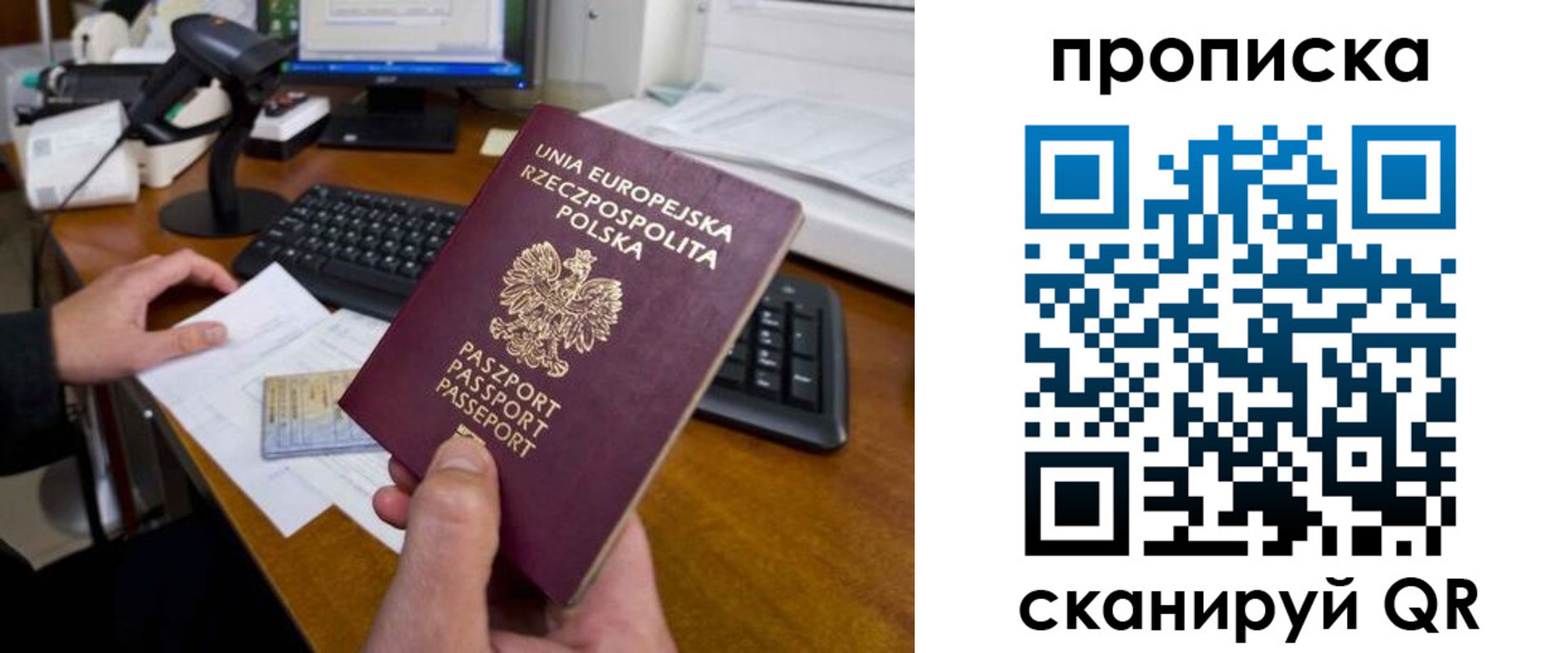 прописка для школы в Курской области